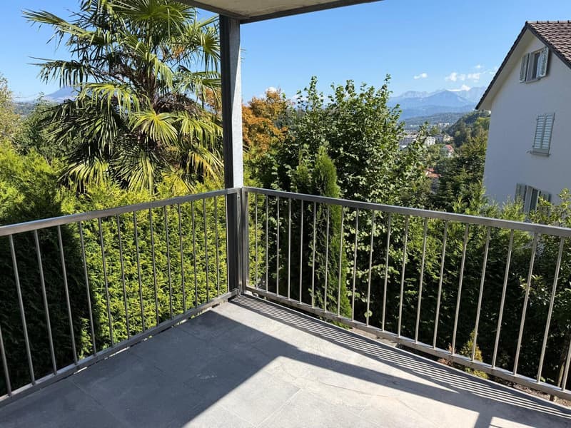 NEU Sanierte 2-Zimmer-Wohnung mit Balkon und Bergblick in Luzern (8)