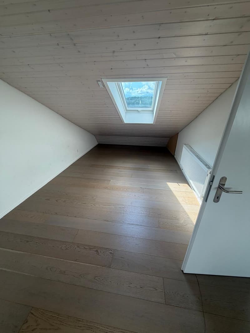 Charmante 4-Zimmer-Dachwohnung mit Aussicht in Luzern-Reussbühl (7)