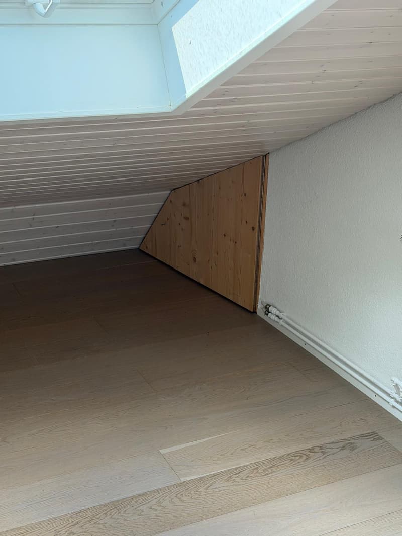 Charmante 4-Zimmer-Dachwohnung mit Aussicht in Luzern-Reussbühl (6)