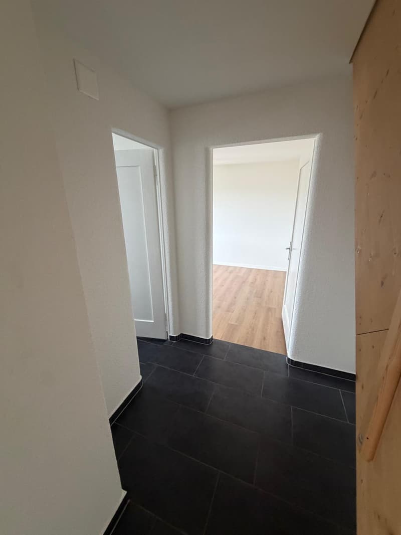 Charmante 4-Zimmer-Dachwohnung mit Aussicht in Luzern-Reussbühl (16)