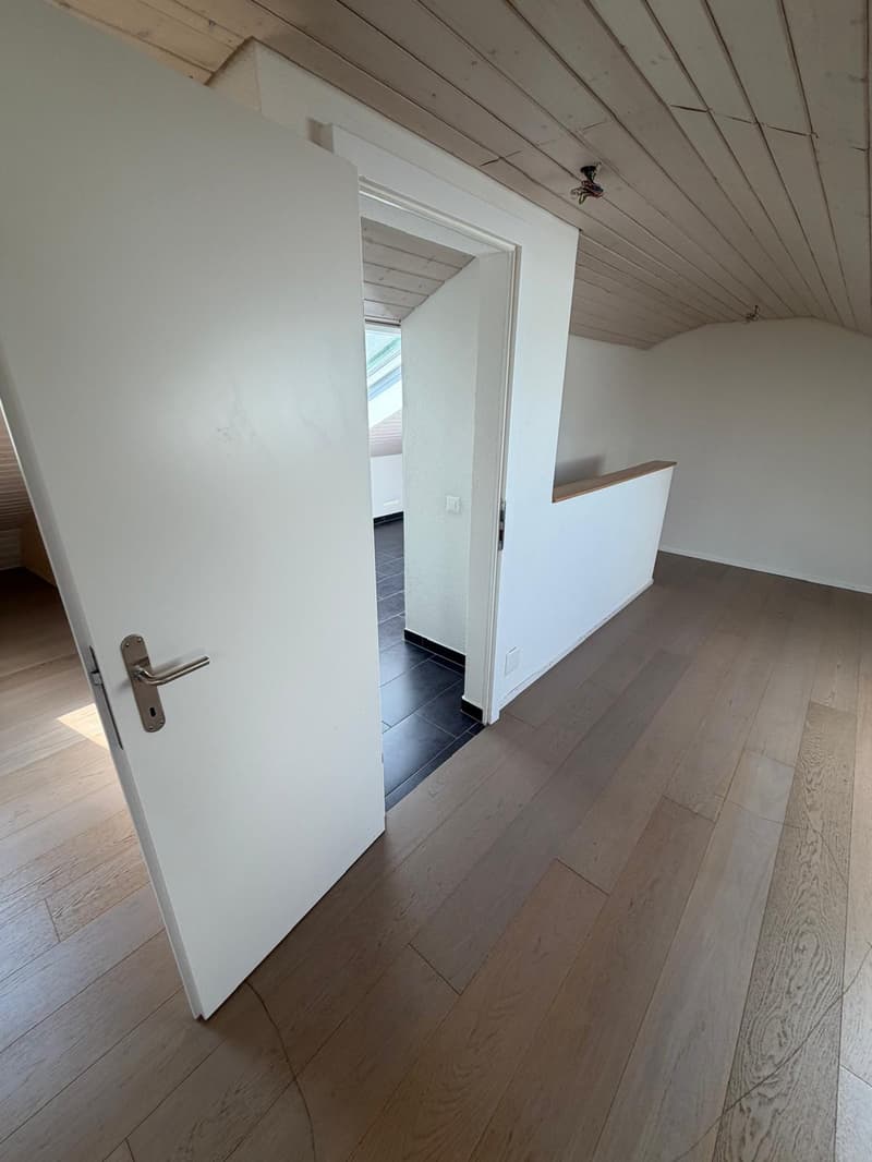 Charmante 4-Zimmer-Dachwohnung mit Aussicht in Luzern-Reussbühl (11)