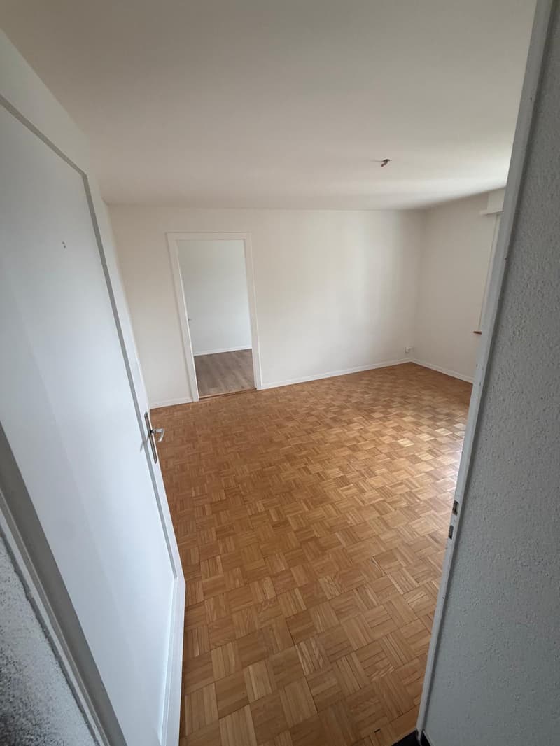 Charmante 4-Zimmer-Dachwohnung mit Aussicht in Luzern-Reussbühl (15)