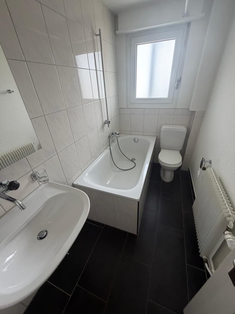 Charmante 4-Zimmer-Dachwohnung mit Aussicht in Luzern-Reussbühl (10)
