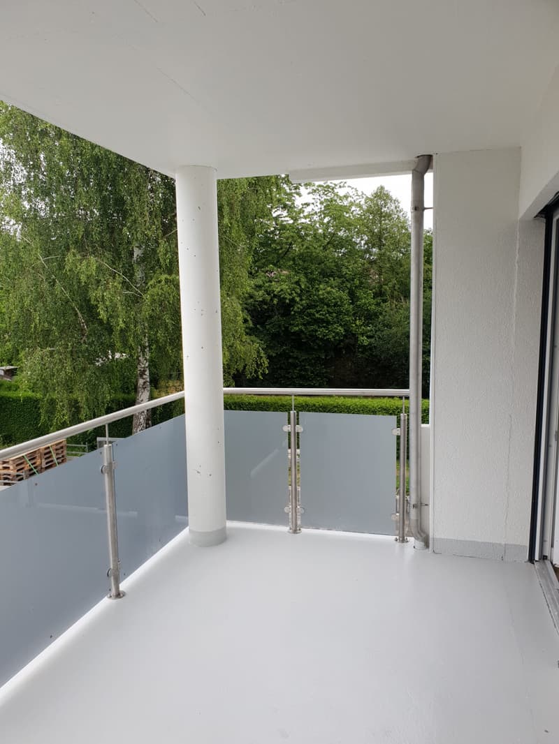 Charmante 1.5-Zimmer-Wohnung mit Balkon in Rothrist – sofort verfügbar! (4)