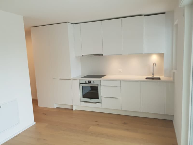 Charmante 1.5-Zimmer-Wohnung mit Balkon in Rothrist – sofort verfügbar! (2)