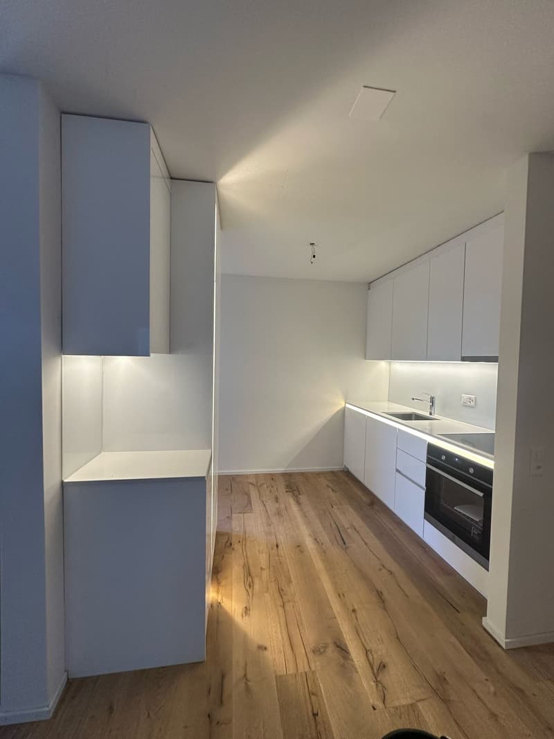 Helle 5.5-Zimmer-Wohnung mit Balkon in Geroldswil (1)