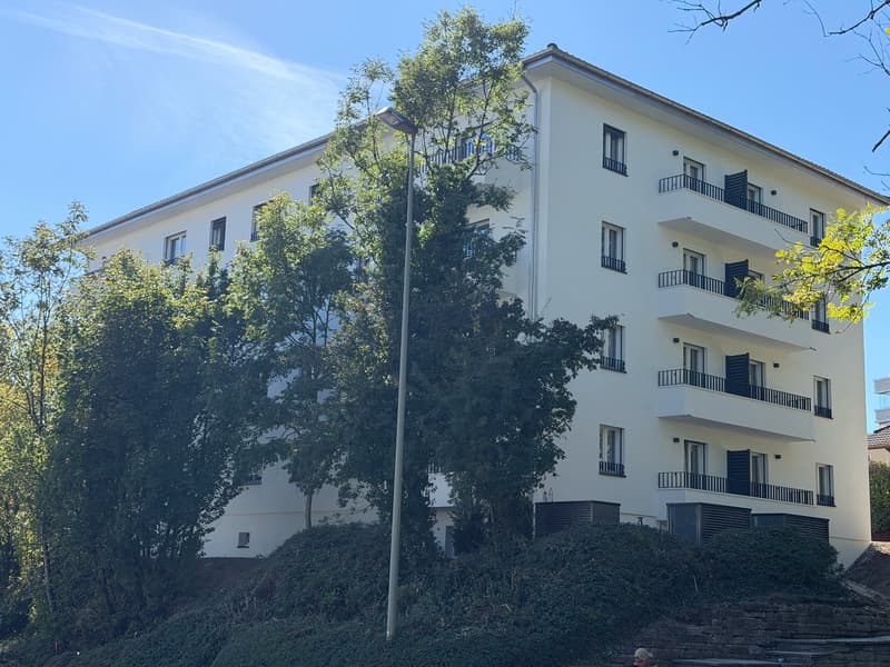 ERSTVERMIETUNG: Wunderschöne 2.5 Zimmerwohnung an toller Lage (11)