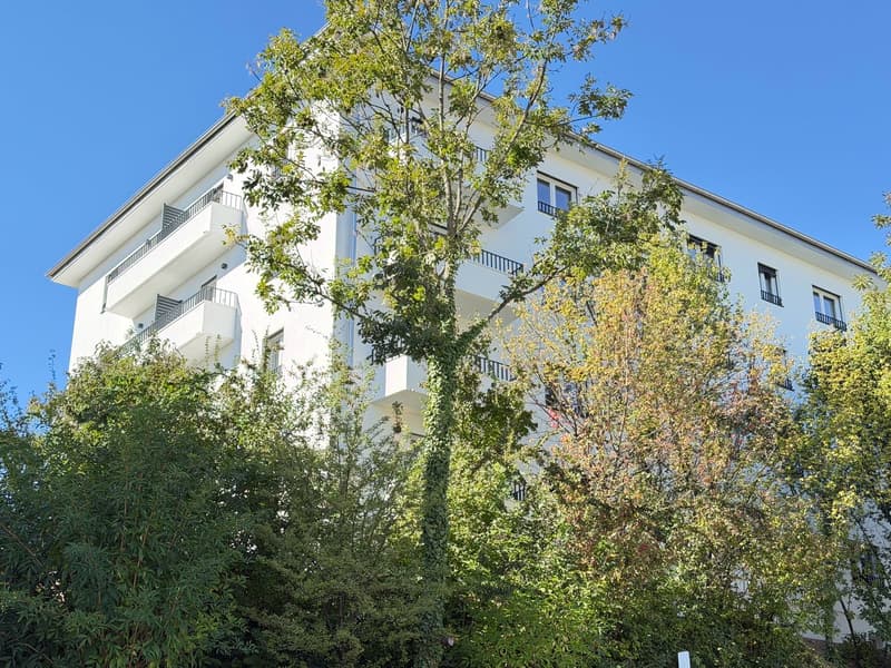 ERSTVERMIETUNG: Wunderschöne 3.5 Zimmerwohnung an toller Lage (11)