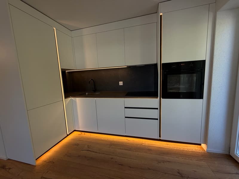 ERSTVERMIETUNG: Wunderschöne 4.5 Zimmerwohnung an toller Lage (2)