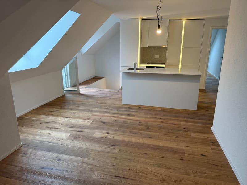 ERSTVERMIETUNG: Wunderschöne 2.5-Zimmer-Wohnungen in Olten (5)
