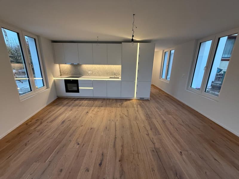 ERSTVERMIETUNG: Wunderschöne 2.5-Zimmer-Wohnungen in Olten (1)