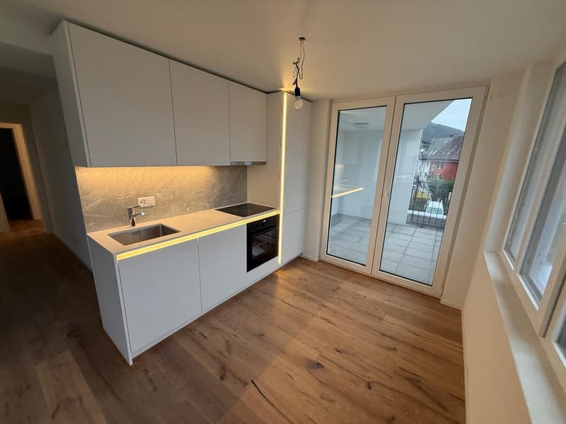 ERSTVERMIETUNG: Wunderschöne 3.5-Zimmer-Wohnungen in Olten (1)
