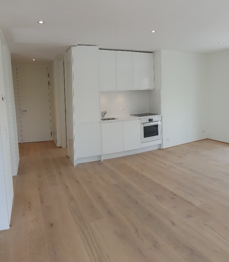 Top moderne 4.5 Zimmer Wohnung inkl. privatem Waschturm (7)