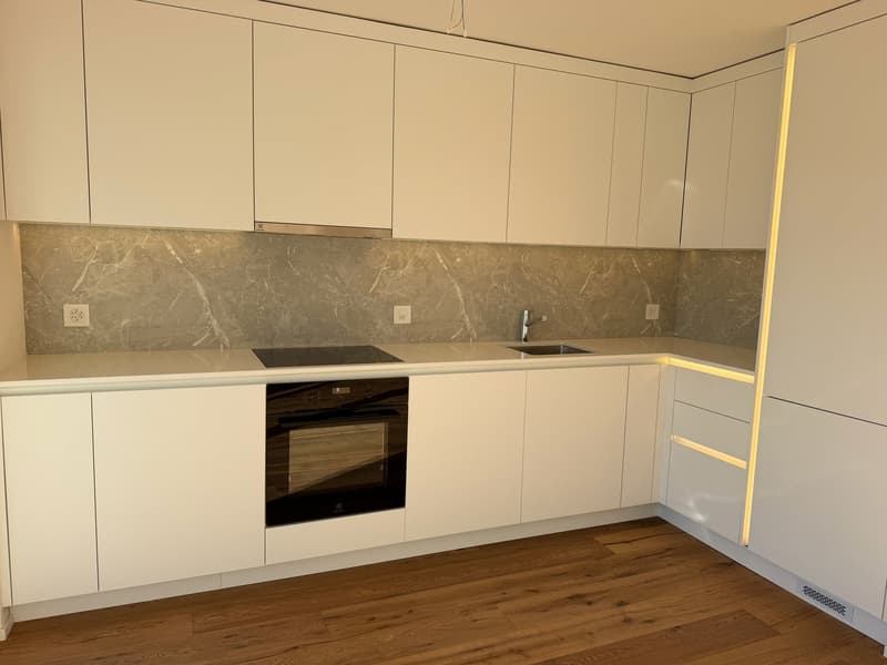 ERSTVERMIETUNG: Wunderschöne 2.5-Zimmer-Neubauwohnungen in Emmenbrücke (11)