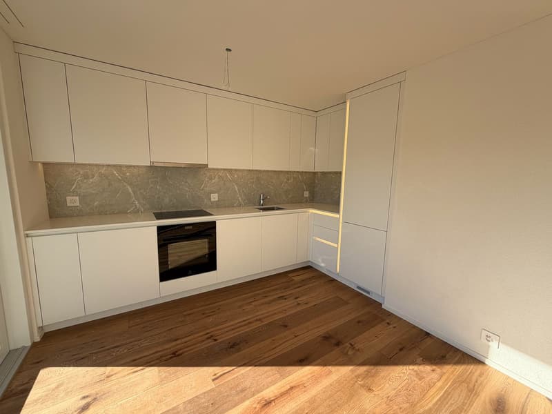 ERSTVERMIETUNG: Wunderschöne 1.5-Zimmer-Neubauwohnungen in Emmenbrücke (1)