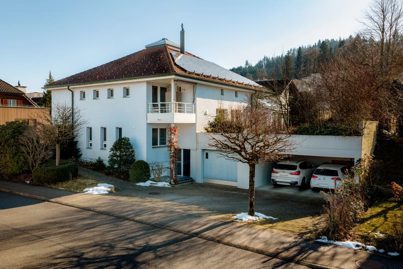 Familienidyll in bevorzugtem Wohnquartier (12)