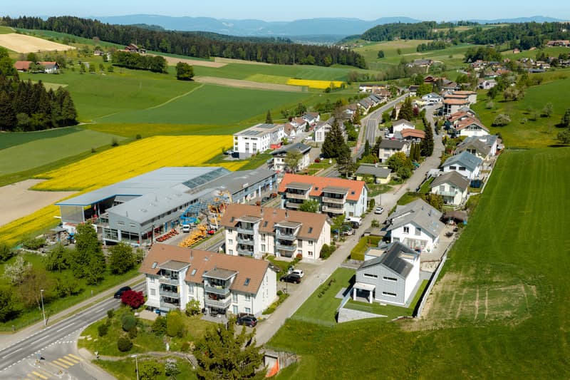 Helle 4½-Zimmer-Wohnung im Hochparterre mit Balkon (3)
