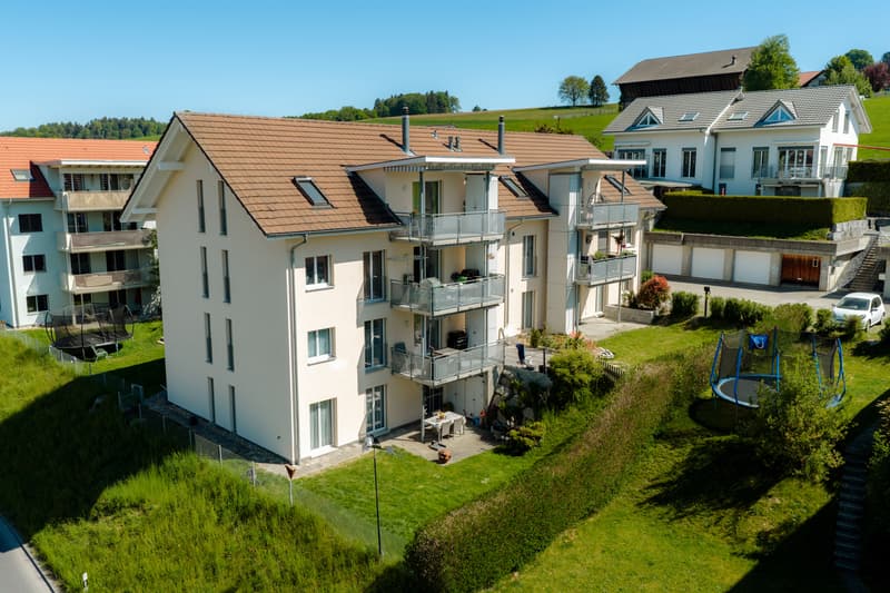 Dachwohnung mit Weitsicht und gemütlichem Charakter (7)