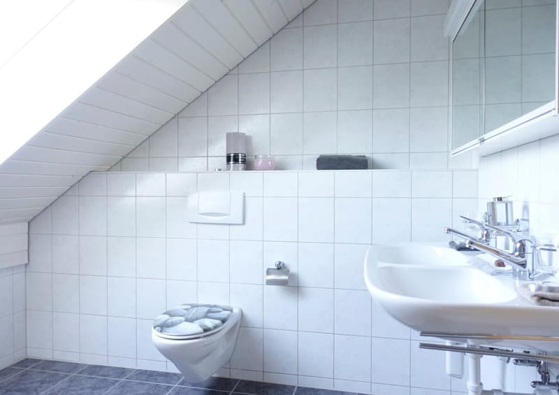 Charmante 4½-Zimmer-Dachwohnung (10)