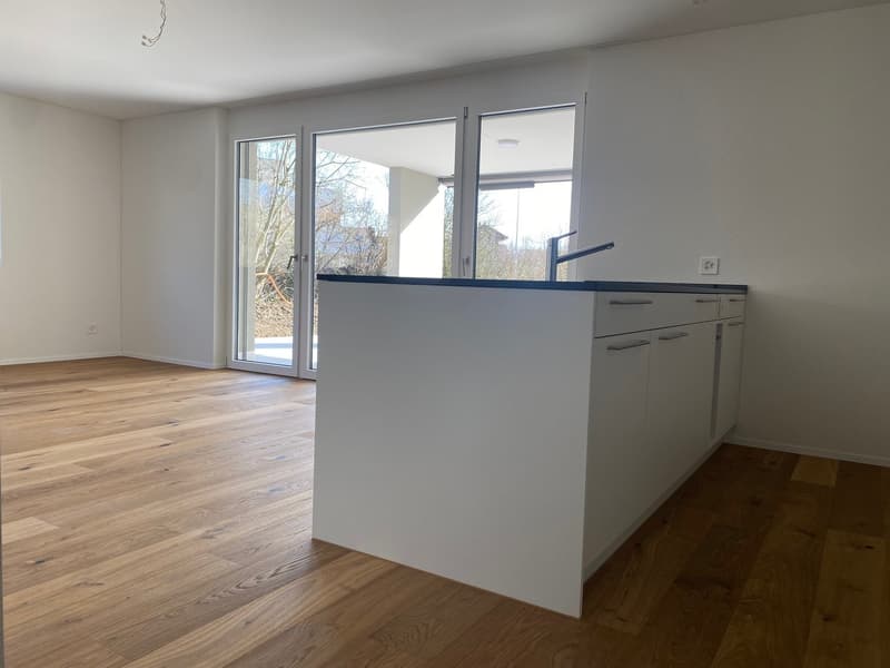 Küche mit Kompakt-Backofen und Steamer