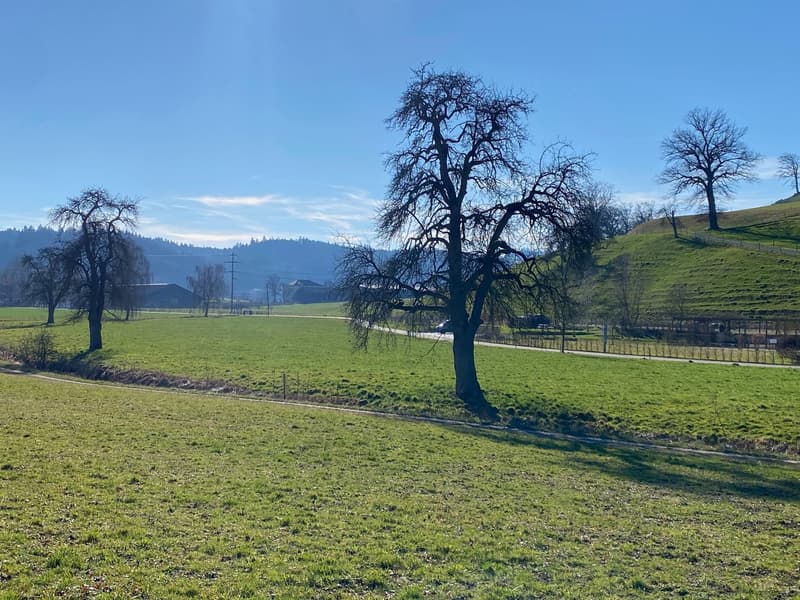 Mehr sehen. Mehr fühlen.