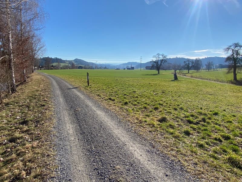 In unmittelbarer Nähe - Erlebnishof Burgrain