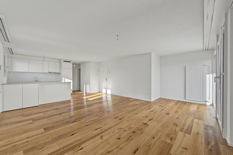 Modernes Wohnen nahe dem Sempachersee - Stilvolle 2.5 Zimmer Eigentums (1)