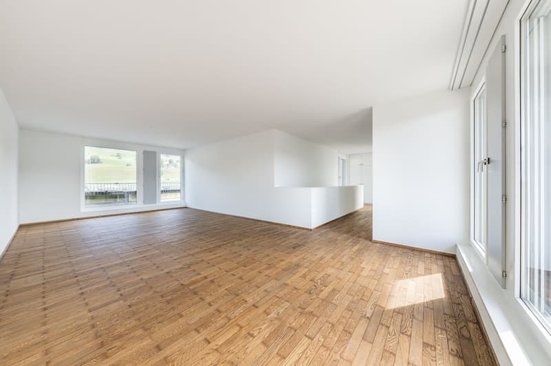 Sonnige Maisonette-Loftwohnung (3)