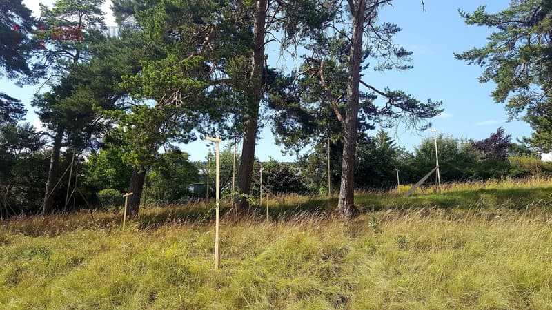 566m2 Bauland in Delémont