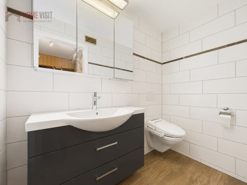 WC/DU  im unteren Erdgeschoss