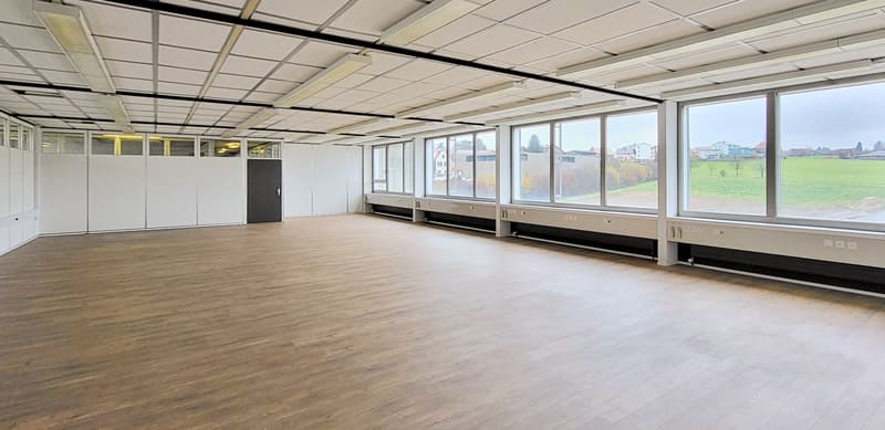 Helle Bürofläche mit Sitzungsraum - auch für Schulungen/Seminare geeignet! (1)
