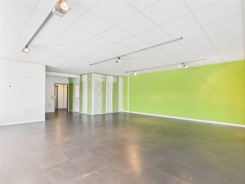 Empty room with white ceiling, square lights, white walls, and a green accent wall.
