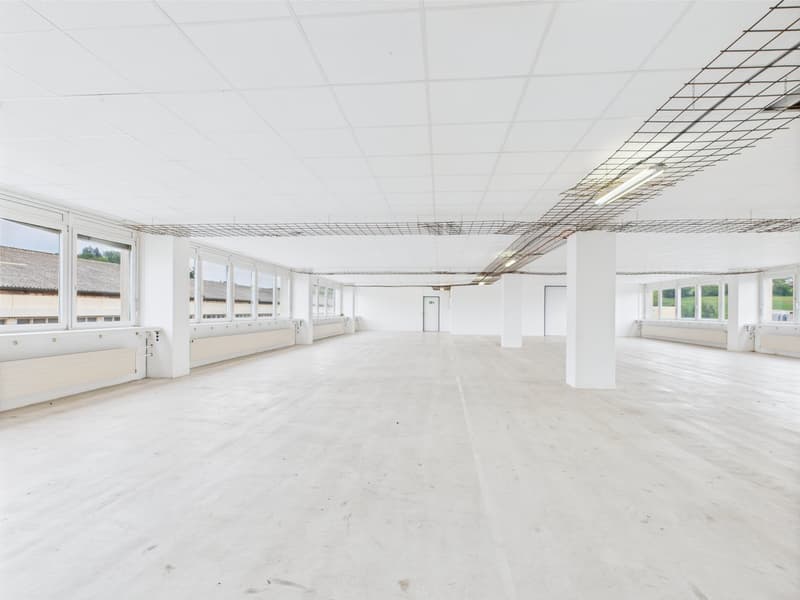 350m2 - Modern and bright commercial space on the 2nd floor with great views (11)
