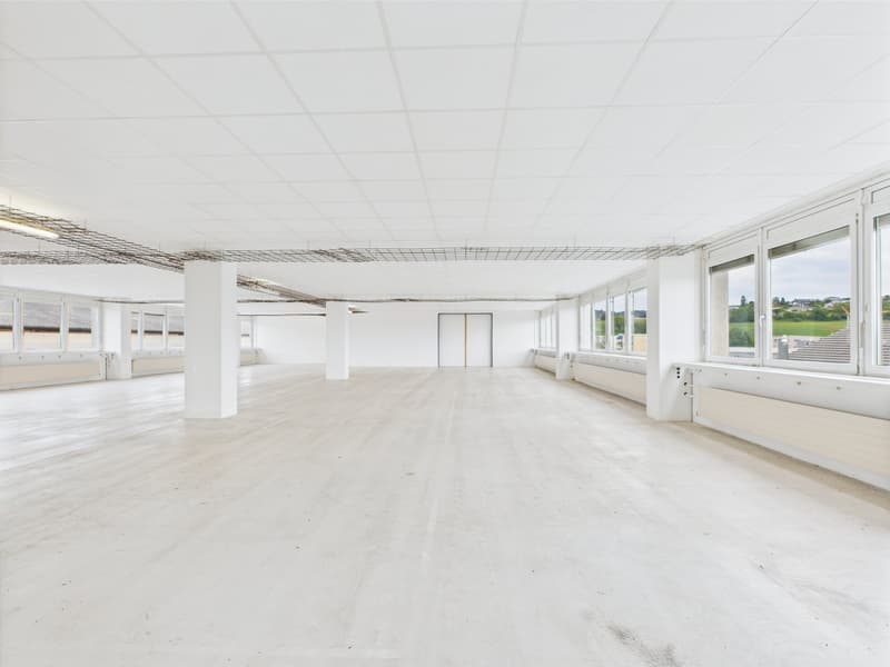 350m2 - Modern and bright commercial space on the 2nd floor with great views (12)
