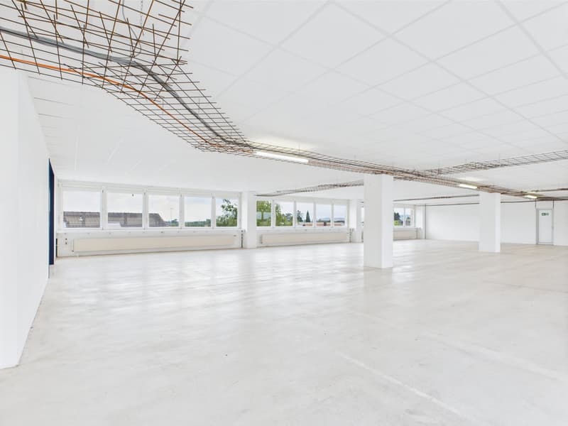 350m2 - Modern and bright commercial space on the 2nd floor with great views (3)