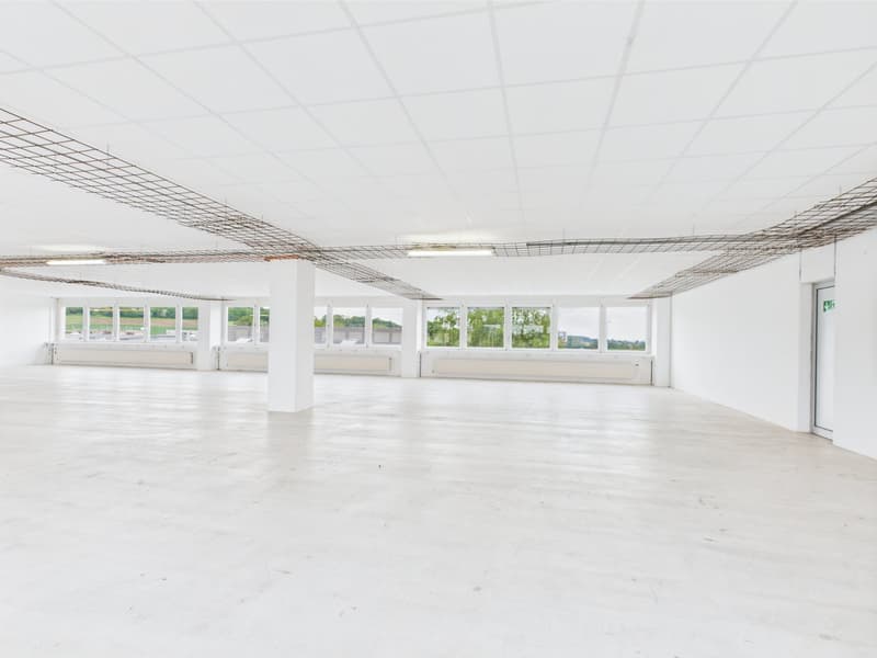350m2 - Modern and bright commercial space on the 2nd floor with great views (9)