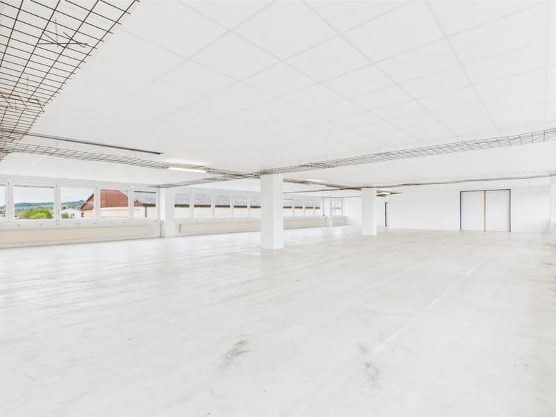 350m2 - Modern and bright commercial space on the 2nd floor with great views (13)