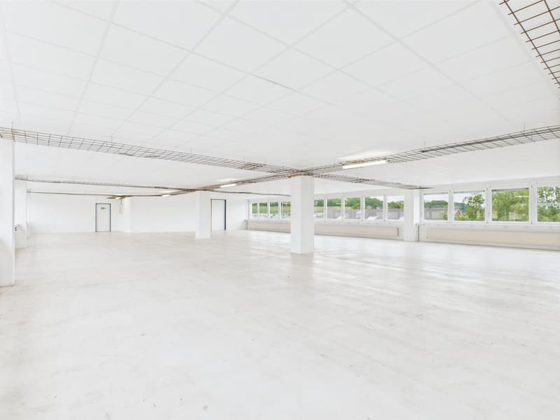 350m2 - Modern and bright commercial space on the 2nd floor with great views (10)