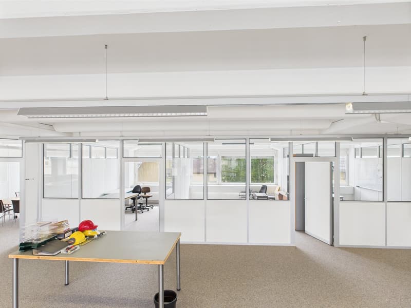 white walls, carpet floor, windows, partition wall, office desk