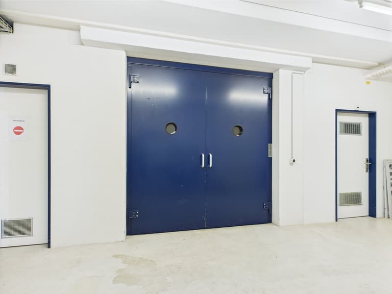 Large double doors, blue with two windows, concrete floor, metal handles