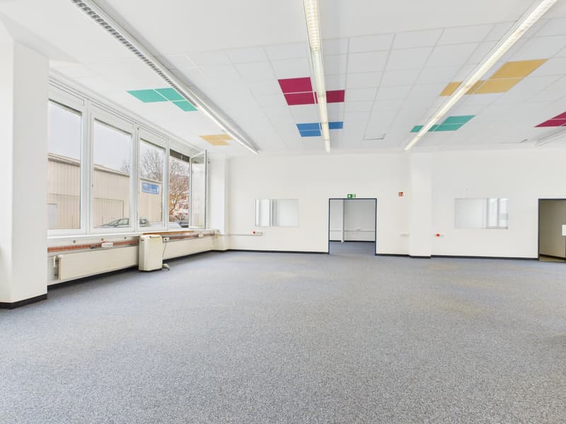 Empty room with white walls, carpeted floor, large windows, colored ceiling panels, doors, windows, radiators, and ceiling lights