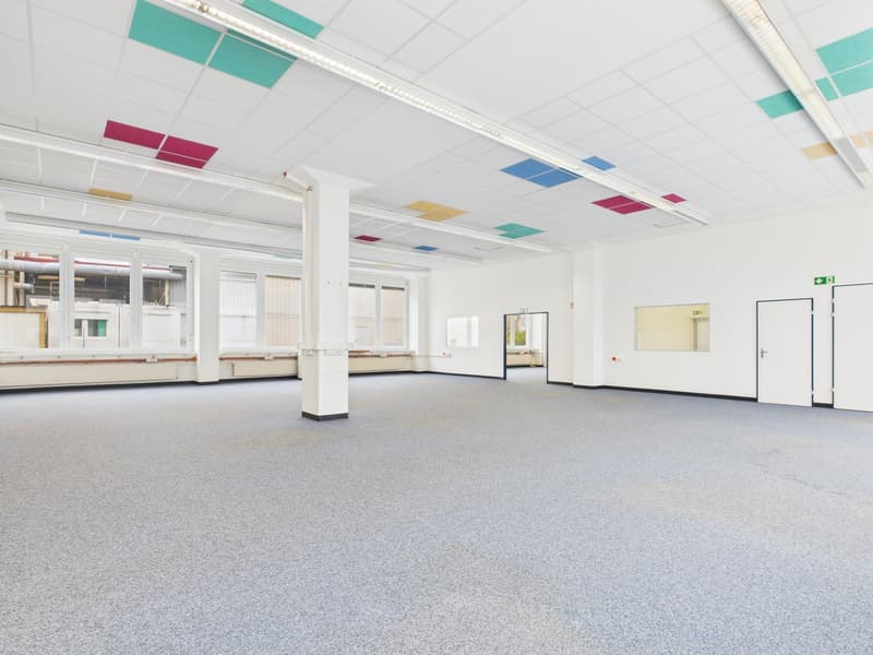 large room with bright lighting, white tiled ceiling, large windows, gray carpet, 4 doors, pillar