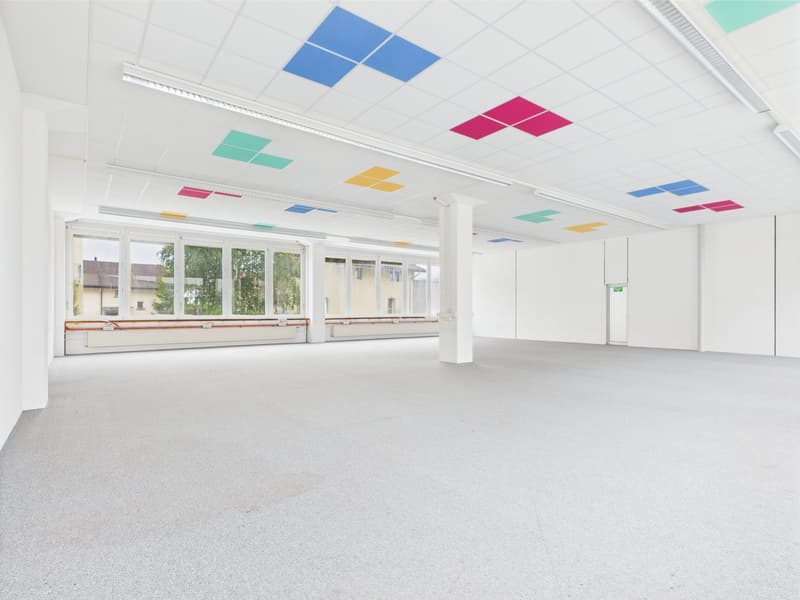 Luftige und helle Bürofläche im Erdgeschoss in Murten (1)