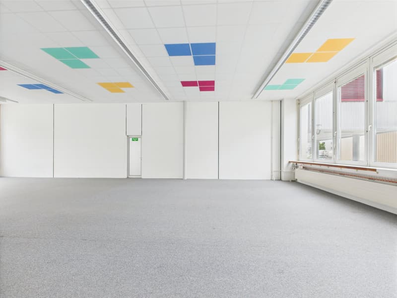 Empty room, concrete floor, white walls, large windows, grey ceiling with square accents