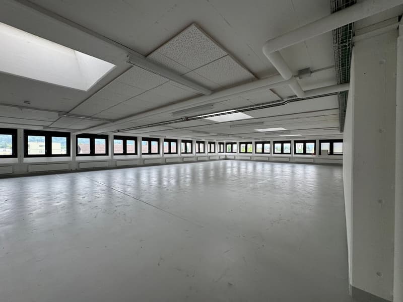 Empty room, white walls, white floor, multiple windows, skylights, no furniture