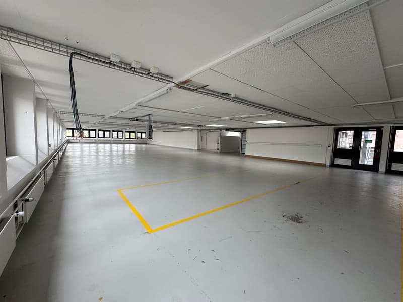 Wide open space, gray flooring, yellow markings, doors on the right, white walls, large windows