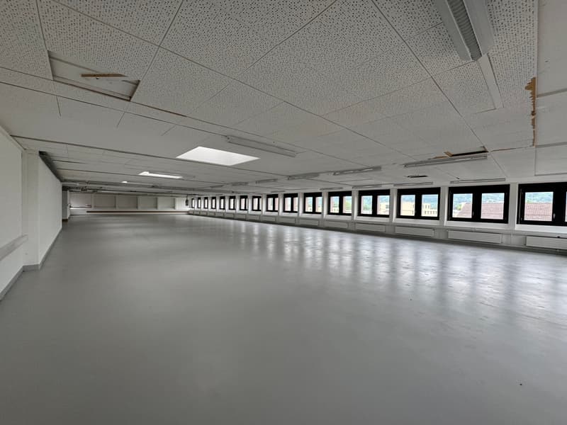 Empty room, white walls, grey floor, multiple windows, exposed ceiling