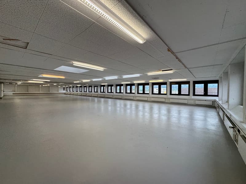 Open room, multiple windows, white ceiling, white flooring, lights on the ceiling