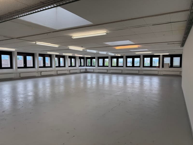 Large open space, several windows, white walls, fluorescent lighting on the ceiling, large windows with black frames.