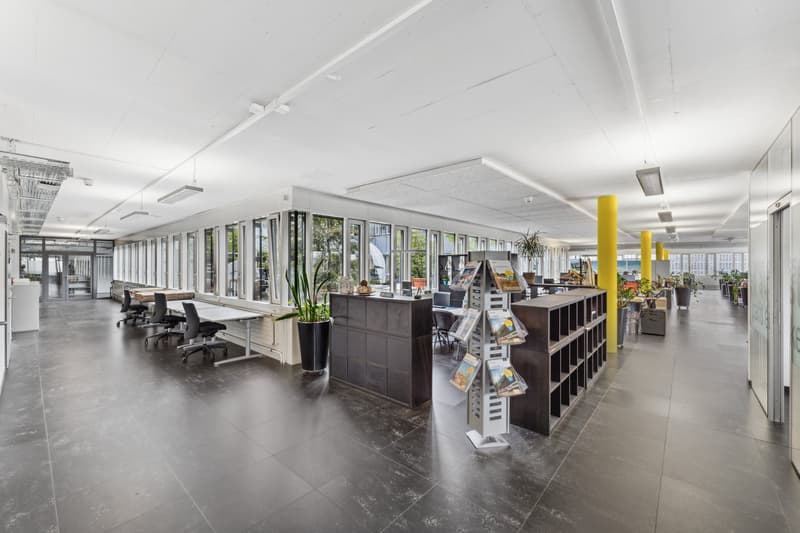 large open space, modern office furniture, white walls, gray tile flooring, glass walls, plants, desks, chairs